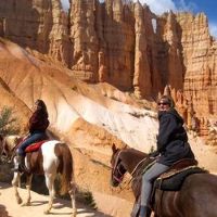 Horseback and mule rides