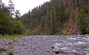 Clackamas River Scenic Waterway