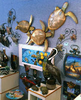 Jungle Drums Gallery