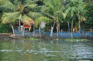 Backwaters
