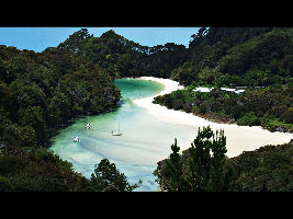 Abel Tasman National Park