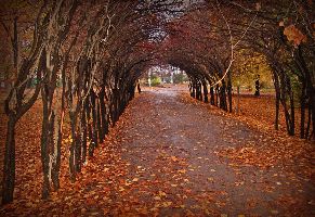 Tashkent Botanical Garden