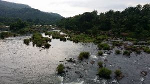 Chalakkudy river