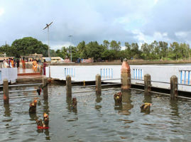 South India in 7 Days – From Hills to Backwaters: Munnar to Alleppey Journey