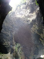 Gomantong Caves