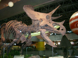 National Science Museum