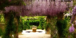 Idaho Botanical Garden