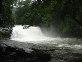 Thommankuthu Falls