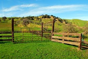 Bishop Ranch Regional Preserve