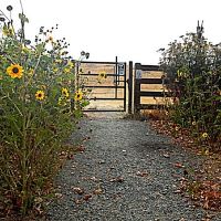 Tassajara Creek Regional Park  
