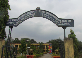 Anthropological Museum