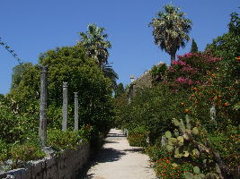 Trsteno Arboretum