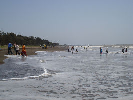  Arnala Beach 