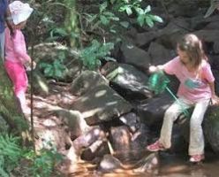 Doreen Clark Nature Reserve