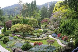 Kochi Prefectural Makino Botanical Garden