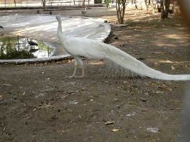 Siddharth Garden  Zoo