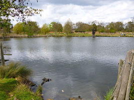 Richmond Park