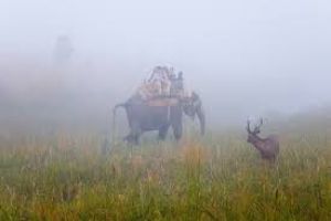 Bijrani Zone Corbett National Park