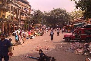 Visiting the Rat Colony, Kolkata