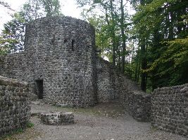 Ruine Wildenburg