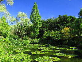 Kitagawa Village Monets Garden Marmottan