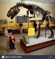 Dinosaur Museum