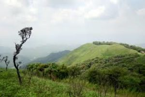 Kasu Brahmananda Reddy National Park 