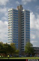 Attenborough Arboretum