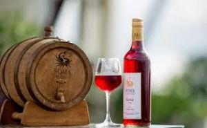 Nashik Vineyard Stay and Tour