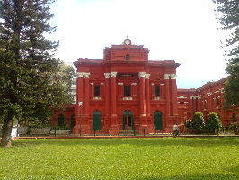 Goldy Museum