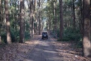 Corbett National Park Jeep Safari