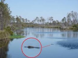 Big Lagoon State Park