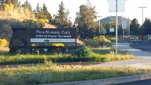 Pine Nursery Park