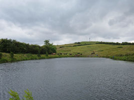 Oldham Pond 
