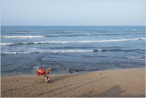 Dwarka Beach 