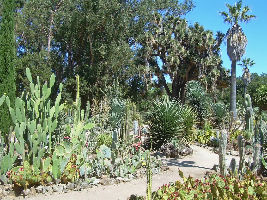 Stanford University Arboretum 