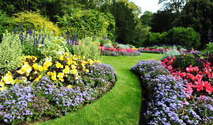 Ooty Rose Gardens