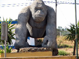 Lagos Zoo