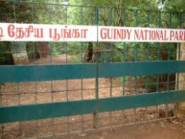 Guindy National Park