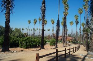 Citrus State Historic Park