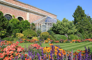 Hortus Botanicus Lovaniensis