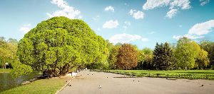 Central Siberian Botanical Garden