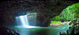 Springbrook National Park