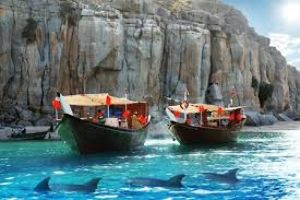 Dolphins And Dhows In Musandam