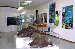Seychelles Natural History Museum Victoria