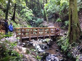 Percy Scenic Reserve