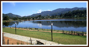 Gregory Lake 