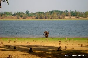 Kabini River