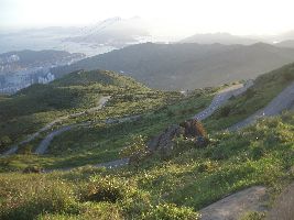 Tai Mo Shan