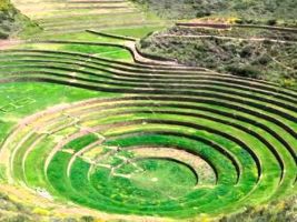 Moray